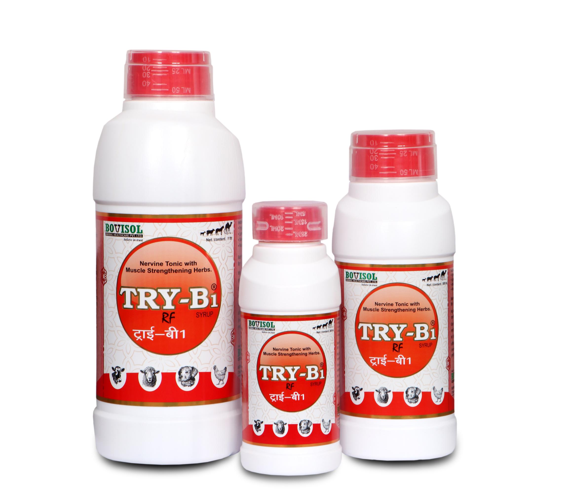 Try B1 Syrup